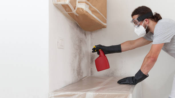 Professional Mold Removal technician working in Beaverton, MI